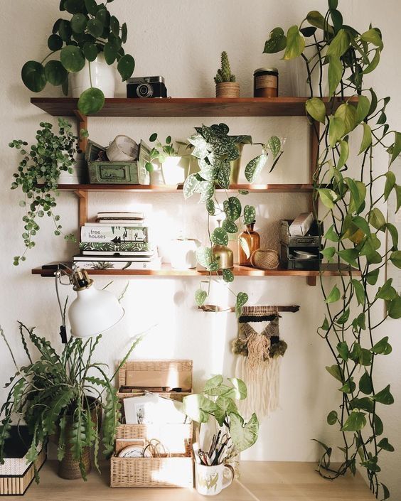 Hanging Planters