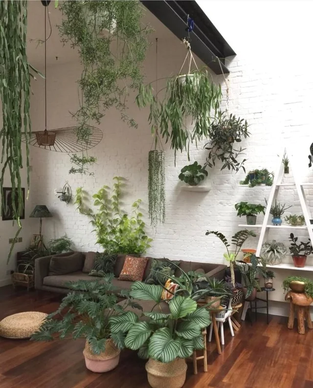 Using Plants as Decor Elements